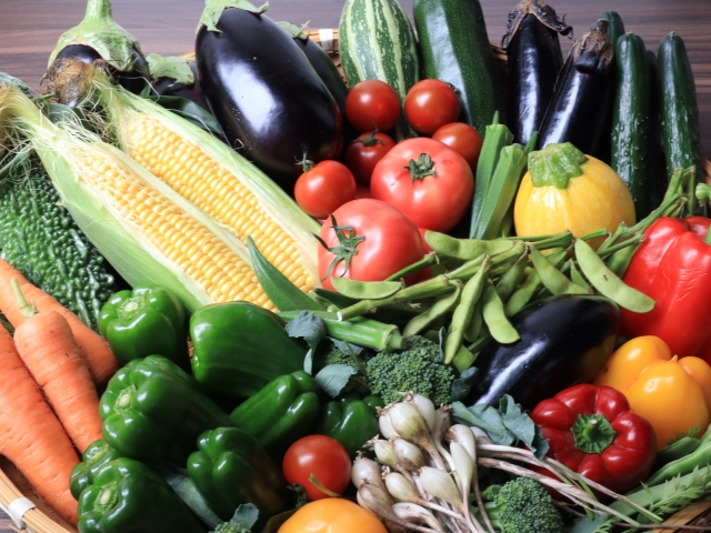 手打ちそばと旬の野菜の田舎会席プラン - 奥州平泉温泉 そば庵 しづか亭